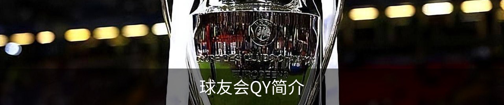 球友会QY简介