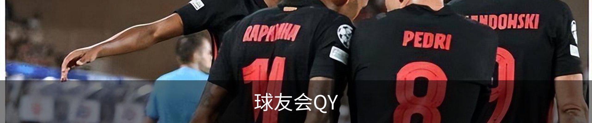 球友会QY